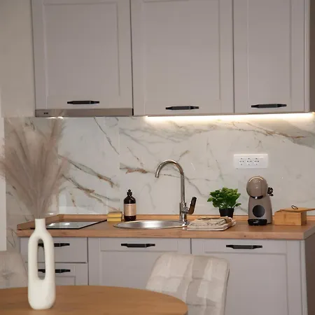 Pantex Centar 公寓 兹拉蒂博尔