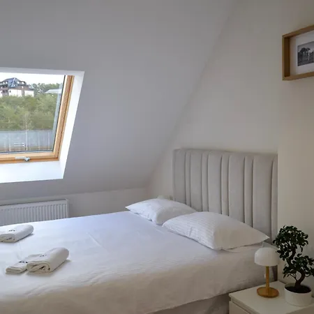 公寓 Pantex Centar 兹拉蒂博尔