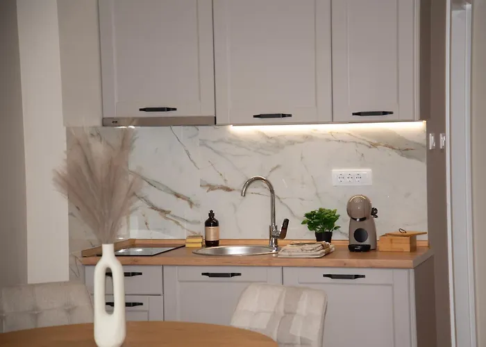 Pantex Centar 公寓 兹拉蒂博尔