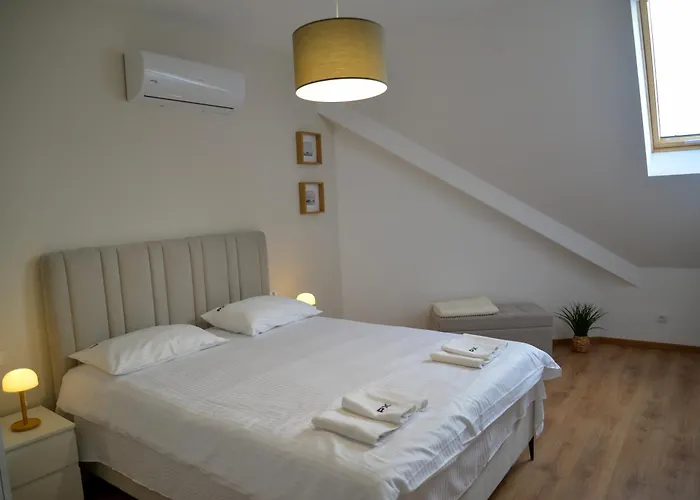 Pantex Centar 公寓 兹拉蒂博尔